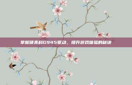 掌握硕美科G945驱动,提升游戏体验的秘诀
