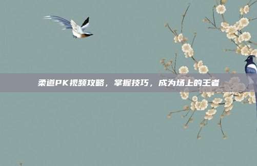 柔道PK视频攻略,掌握技巧,成为场上的王者