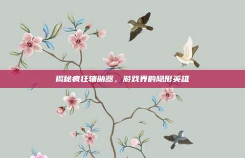 揭秘疯狂辅助器,游戏界的隐形英雄