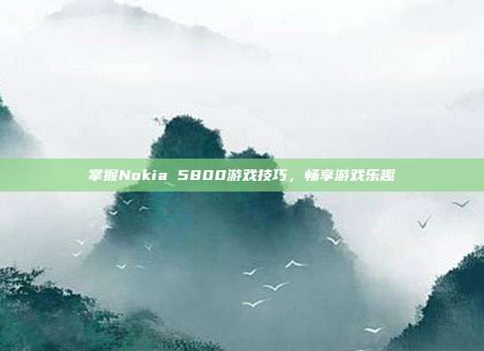 掌握Nokia 5800游戏技巧,畅享游戏乐趣