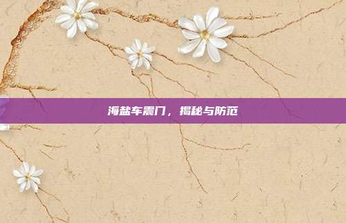 海盐车震门,揭秘与防范