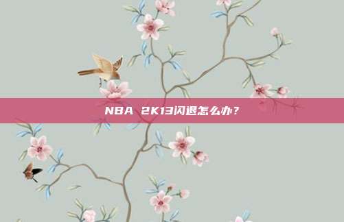 NBA 2K13闪退怎么办?