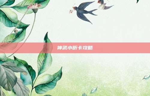 神武小昕卡攻略