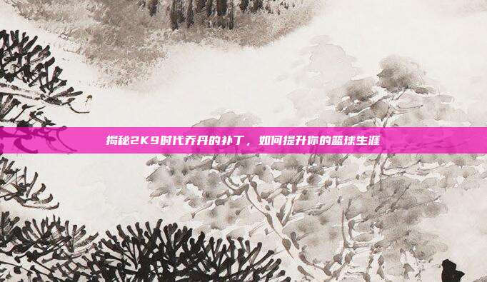 揭秘2K9时代乔丹的补丁，如何提升你的篮球生涯