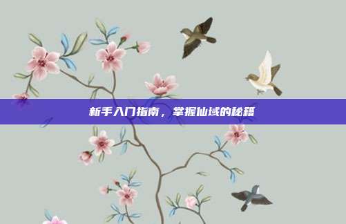 新手入门指南,掌握仙域的秘籍