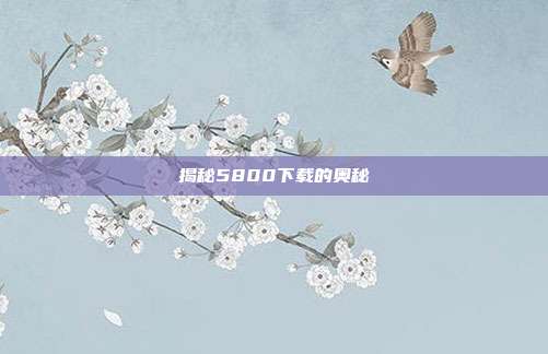 揭秘5800下载的奥秘