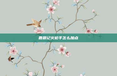 鹿鼎记火枪手怎么加点