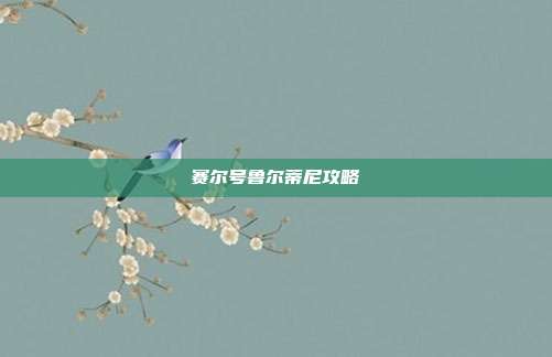 赛尔号鲁尔蒂尼攻略