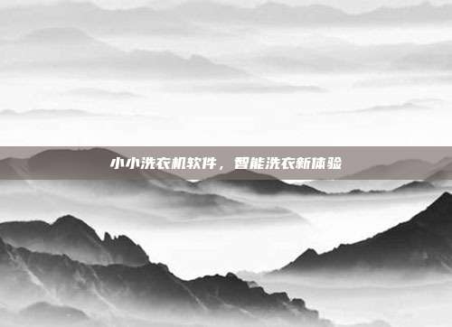 小小洗衣机软件，智能洗衣新体验