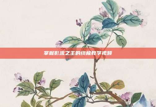 掌握影流之主的终极教学视频