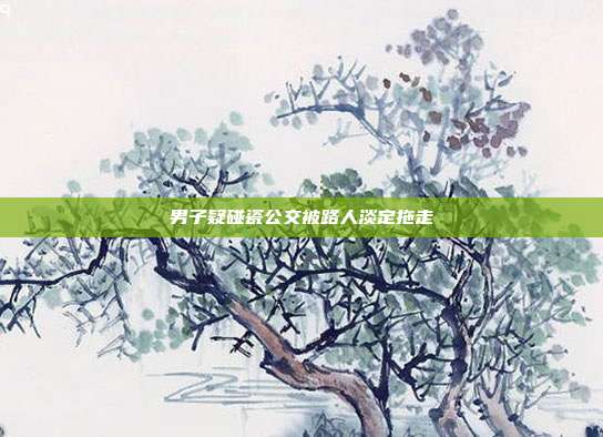 男子疑碰瓷公交被路人淡定拖走