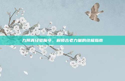 九阴真经驱魔令,解锁古老力量的终极指南
