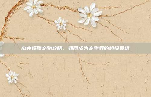 杰克爆弹宠物攻略，如何成为宠物界的超级英雄