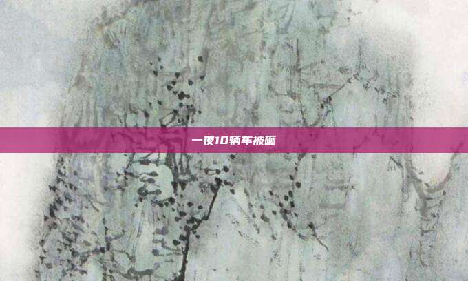 一夜10辆车被砸