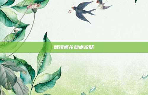 武魂蝶花加点攻略