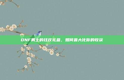 DNF勇士的狂欢礼盒,如何最大化你的收获