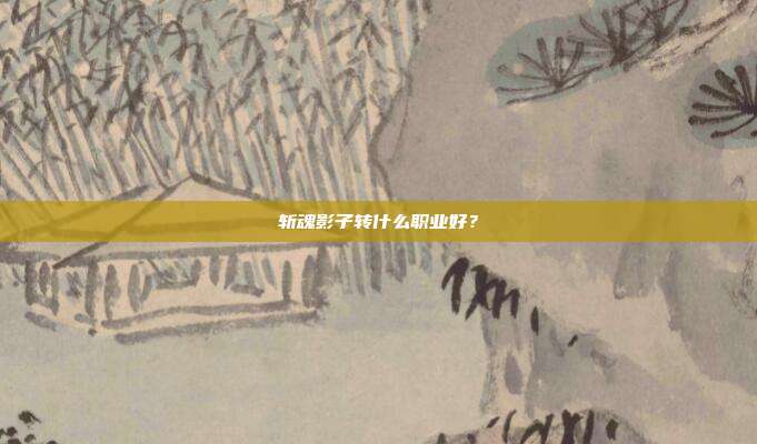 斩魂影子转什么职业好?