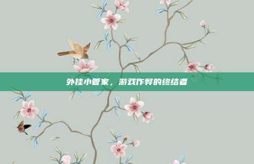 外挂小管家,游戏作弊的终结者