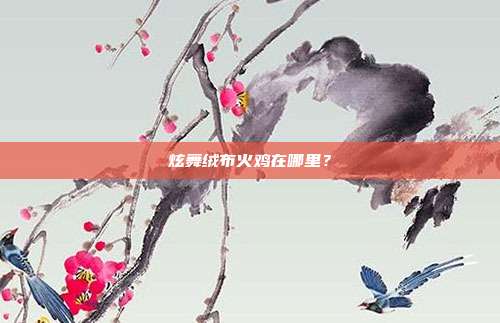 炫舞绒布火鸡在哪里?