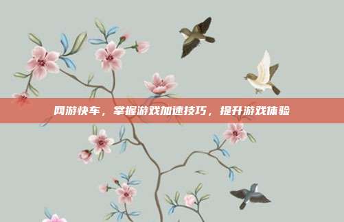 网游快车,掌握游戏加速技巧,提升游戏体验