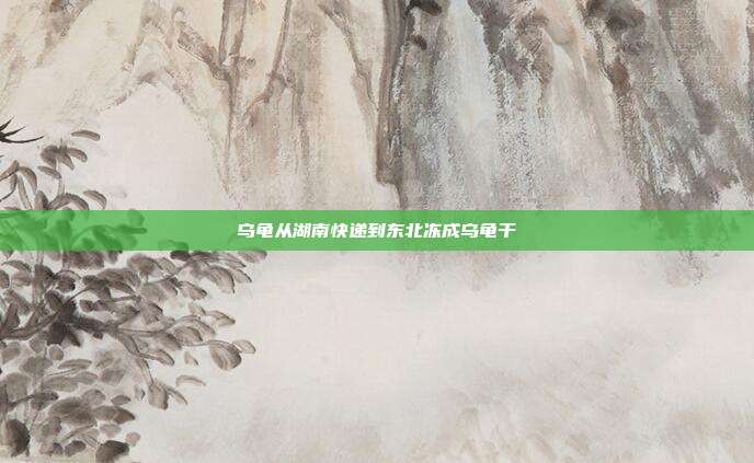 乌龟从湖南快递到东北冻成乌龟干