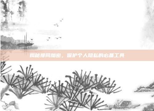 揭秘搜同加密，保护个人隐私的必备工具