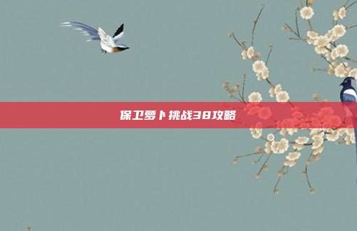 保卫萝卜挑战38攻略