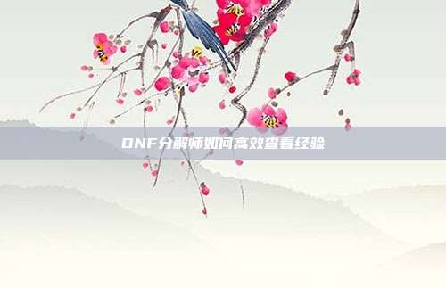DNF分解师如何高效查看经验