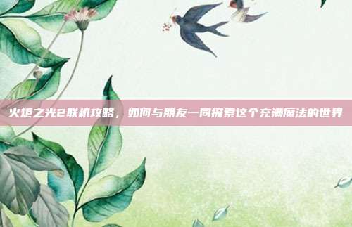 火炬之光2联机攻略,如何与朋友一同探索这个充满魔法的世界
