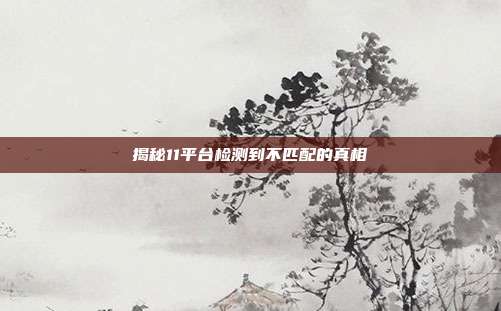 揭秘11平台检测到不匹配的真相