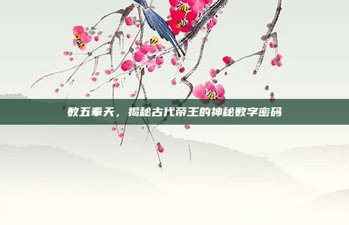 数五奉天,揭秘古代帝王的神秘数字密码