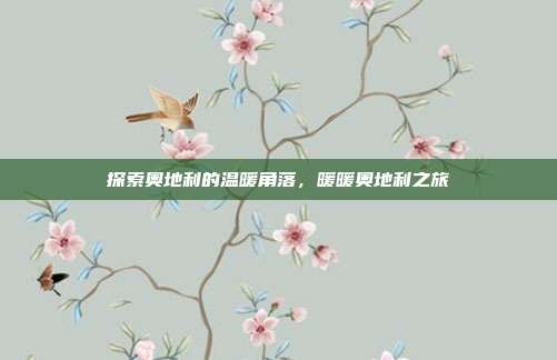 探索奥地利的温暖角落,暖暖奥地利之旅