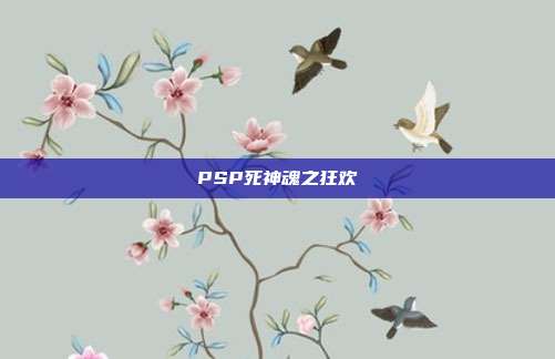PSP死神魂之狂欢