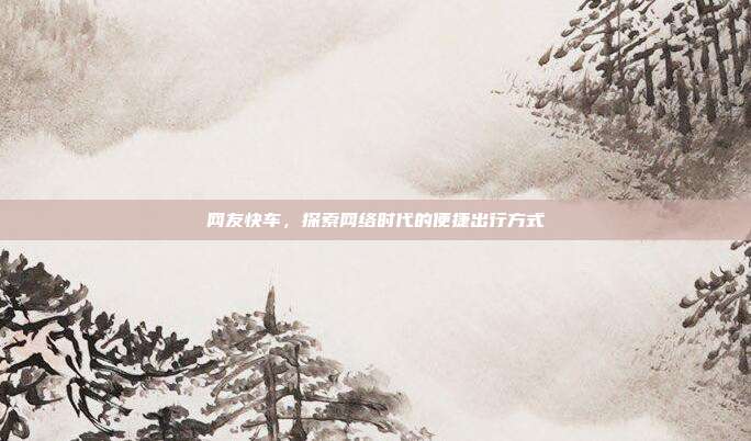 网友快车，探索网络时代的便捷出行方式