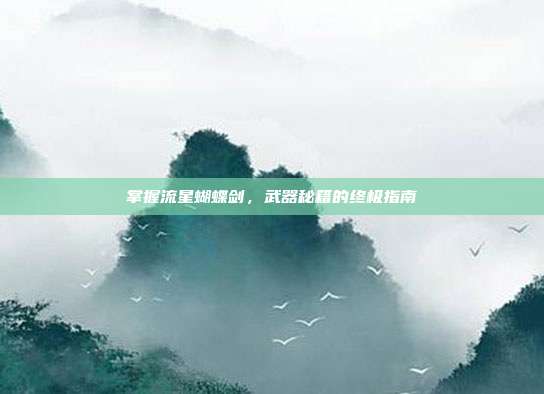 掌握流星蝴蝶剑,武器秘籍的终极指南