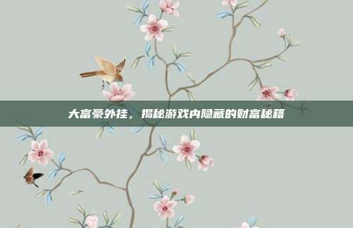 大富豪外挂,揭秘游戏内隐藏的财富秘籍