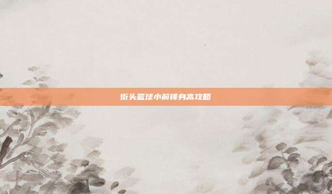 街头篮球小前锋身高攻略