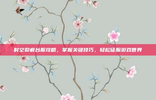 时空裂痕台服攻略，掌握关键技巧，轻松征服游戏世界