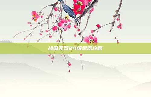 战国无双24级武器攻略