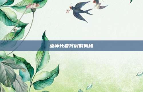 巫师长者衬肩的奥秘