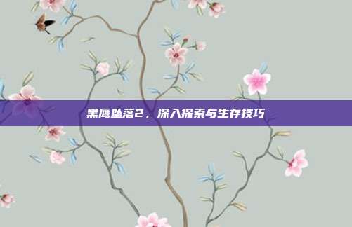 黑鹰坠落2，深入探索与生存技巧
