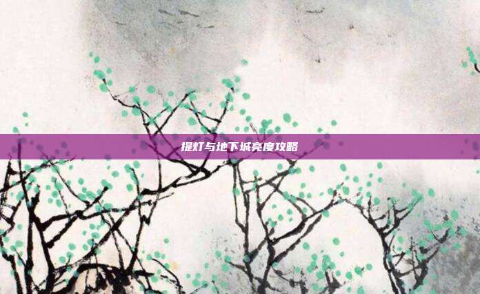 提灯与地下城亮度攻略