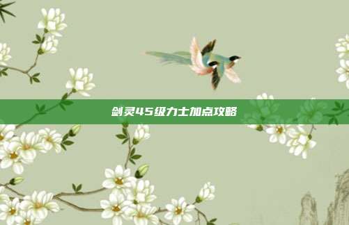 剑灵45级力士加点攻略