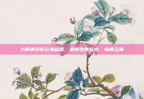 九阴真经穿云纵秘籍,掌握绝世轻功,纵横江湖