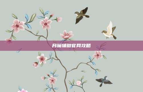 月魔辅助官网攻略