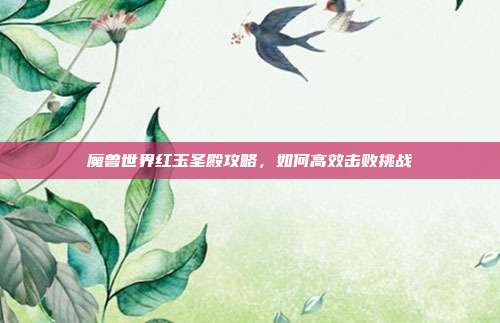 魔兽世界红玉圣殿攻略,如何高效击败挑战