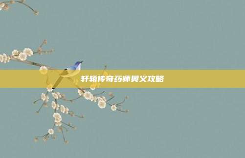 轩辕传奇药师奥义攻略