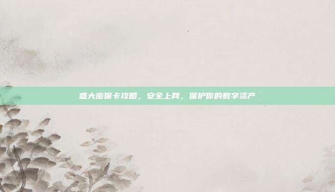 盛大密保卡攻略,安全上网,保护你的数字资产