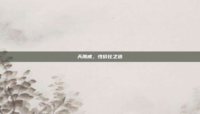 天鹰戒,性价比之选