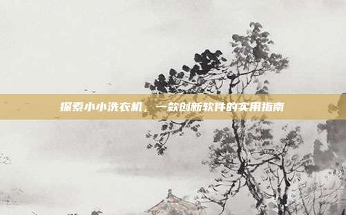 探索小小洗衣机,一款创新软件的实用指南